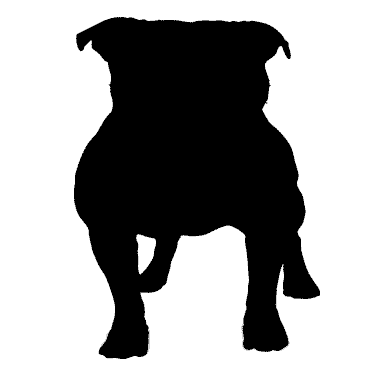 single dog registration