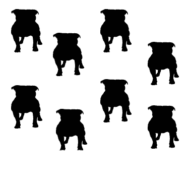 single dog registration